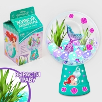 Набор для опытов &laquo;Живой аквариум&raquo; Принцессы