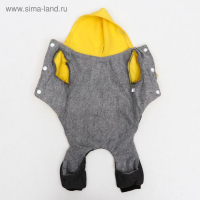 Комбинезон &laquo;Мишка&raquo;, XS (ДС 20 см, ОШ 20 см, ОГ 30 см)