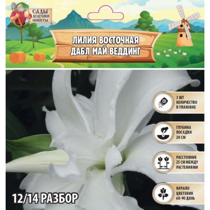 Лилия Восточная Лилия Восточная "Дабл Май Веддинг", р-р 12/14, 3 шт,