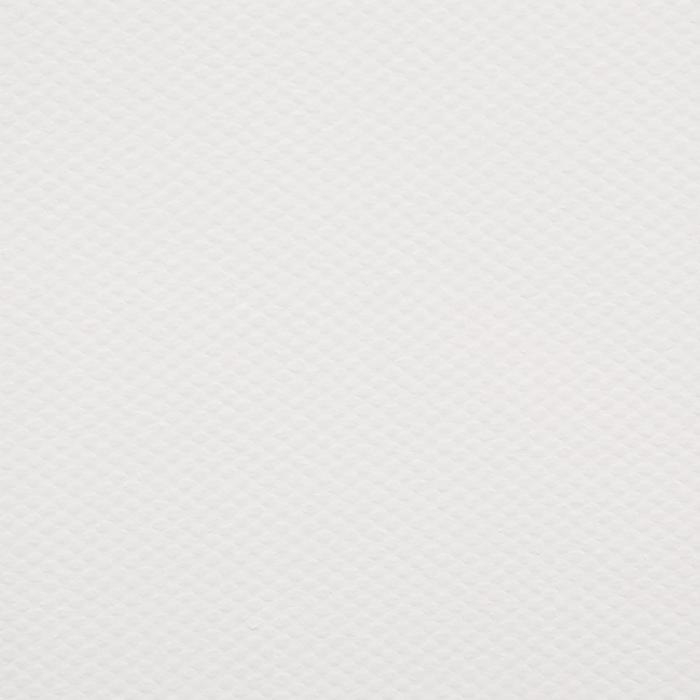 Холст на подрамнике, хлопок 100%, акриловый грунт, 2 х 50 х 70 см, 400 г/м2, крупное зерно, Гамма "Студия"