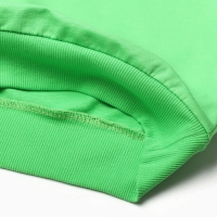 Комплект для девочек (свитшот, брюки), цвет салатовый, рост 122 см Комплект для девочек (свитшот, брюки), цвет салатовый, рост 122 см