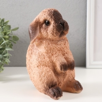 Копилка "Кролик №4 Сиамский окрас " высота 17,5 см, ширина 11,5 см, длина 11,5 см Копилка "Кролик №4 Сиамский окрас " высота 17,5 см, ширина 11,5 см, длина 11,5 см