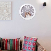 Часы настенные, серия: Животный мир, "Кот", d=29 см, белый обод