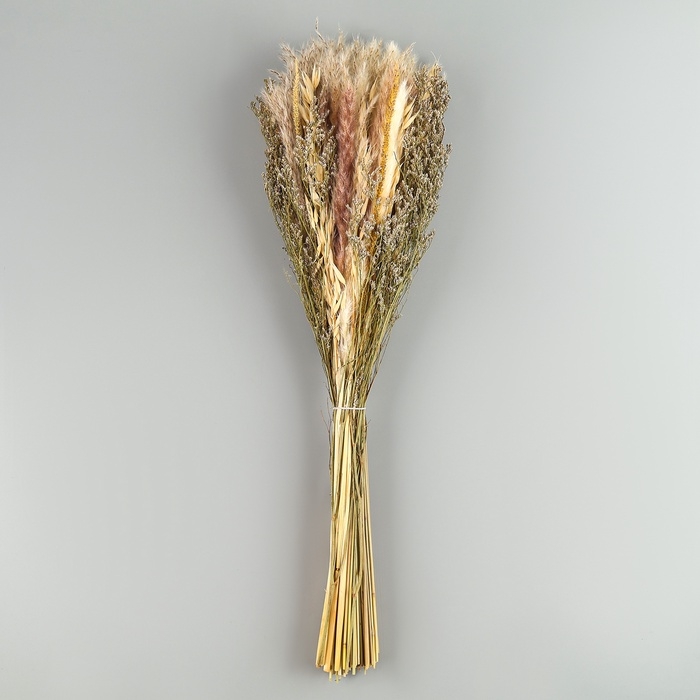 Букет из сухоцветов &laquo;Мечта&raquo;, набор из 85 шт., высота 47 см