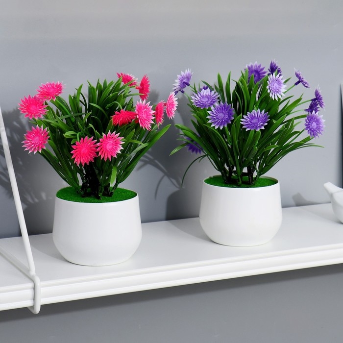 Бонсай в горшке Бонсай в горшке "Остроконечник" 9х28 см, микс