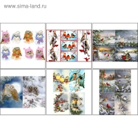 Набор декупажных карт 6 шт "Птицы зимой" А4, 45 г/м2