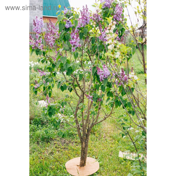 Круг приствольный, d = 0,4 м, из кокосового полотна, набор 5 шт., &laquo;Мульчаграм&raquo;