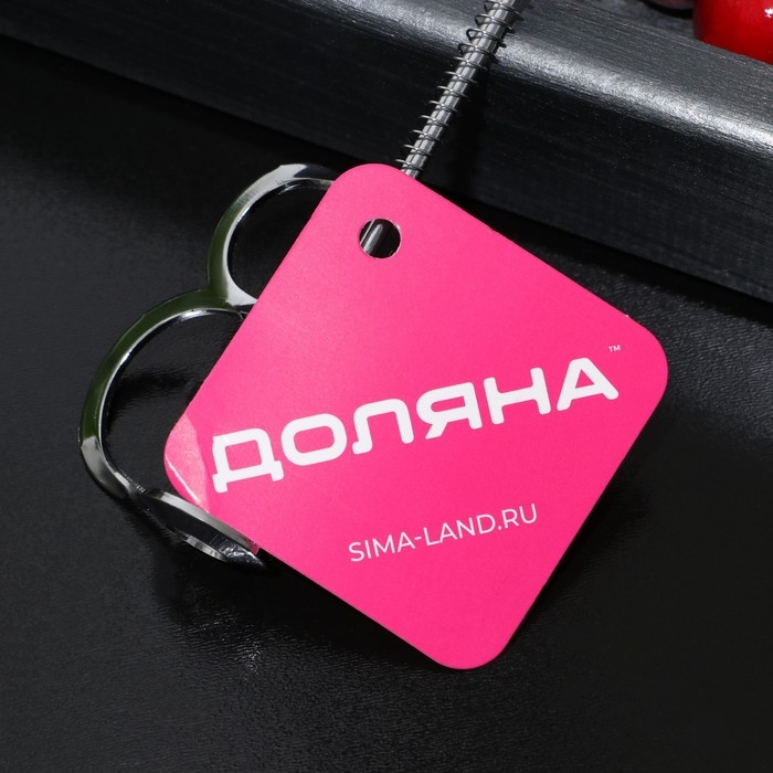 Удалитель косточек Доляна &laquo;Любитель&raquo;, 12,5 см, цвет серебряный