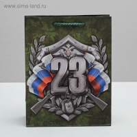 Пакет подарочный ламинированный вертикальный, упаковка, &laquo;Настоящий Защитник!&raquo;, MS 18 х 23 х 10 см