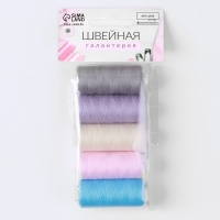 Набор ниток &laquo;Пастель&raquo;, 40/2, 200 м, 5 шт, цвет разноцветный