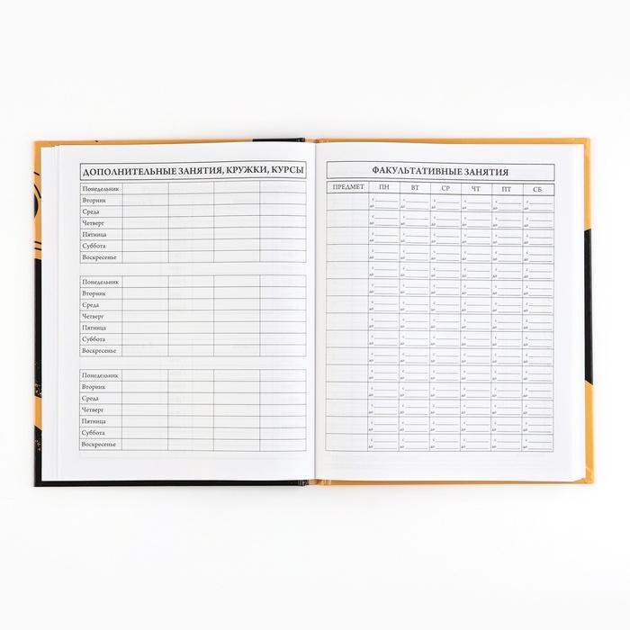 Дневник школьный 5-11 класс, в твердой обложке, 48 л. &laquo;1 сентября: Football&raquo;