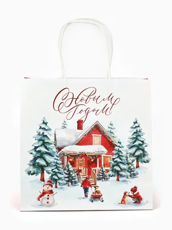 Набор пакетов крафтовых &laquo;Новогодний&raquo;, 10 шт, 22 &times; 22 &times; 11 см