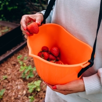 Ёмкость для сбора ягод, 3 л, оранжевая Ёмкость для сбора ягод, 3 л, оранжевая