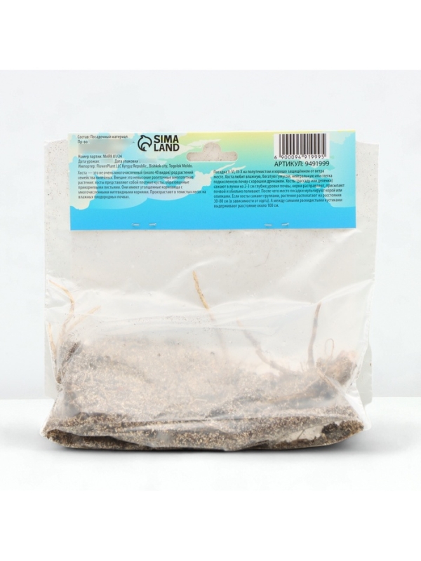 Хоста Tortilla Chip, корневище в пакете с торфогрунтом, р-р I, размер L,1 шт.