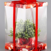Коробка PVC, для цветов с лентой, 28 х 18 х 18 см, красный