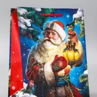 Пакет подарочный новогодний ламинированный, &laquo;Дед Мороз&raquo; , 18&times;10&times;22.3 см