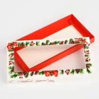 Коробка для шоколада &laquo;Новогодняя ботаника&raquo;, с окном, 9.4 х 1.7 х 18.4 см