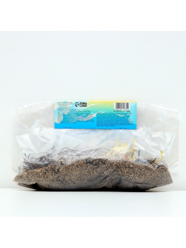 Флокс &laquo;Бамбини Кэнди Краш&raquo; ркорневище в пакете с торфогрунтом, -р I, 2 шт.