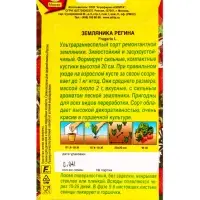 Семена Земляника Регина, Ц/П,0,04 г