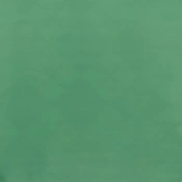 Пленка упаковочная для цветов, &laquo;Новогодний калейдоскоп&raquo;, зелёная 56 см&times;56 см