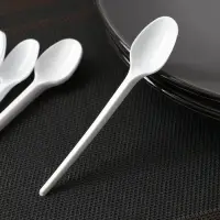 Набор пластиковых одноразовых ложек чайных Мистерия, 12.5 см, 12 шт., белый