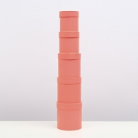 Набор шляпных коробок 5 в 1 "Коралл", 20 × 20 × 20‒13,5 × 13,5 × 13,5 см Набор шляпных коробок 5 в 1 "Коралл", 20 × 20 × 20‒13,5 × 13,5 × 13,5 см