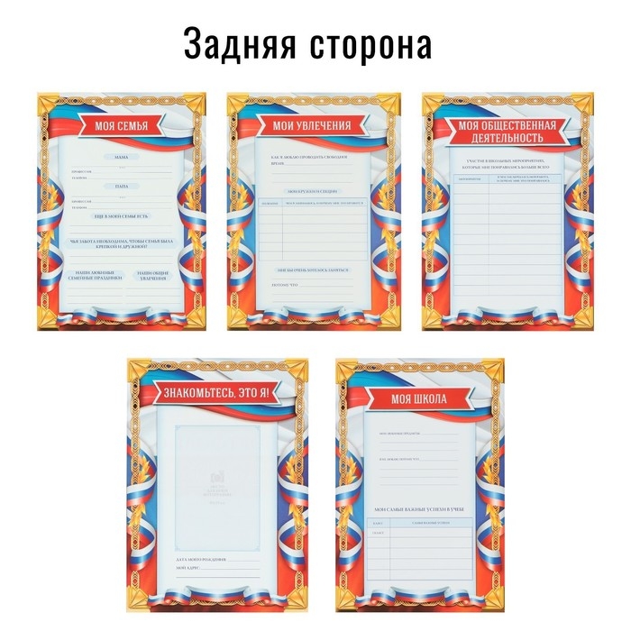Папка школьная на кольцах &laquo;Портфолио школьника&raquo;, 10 листов-разделителей, 24,5 х 32 см.