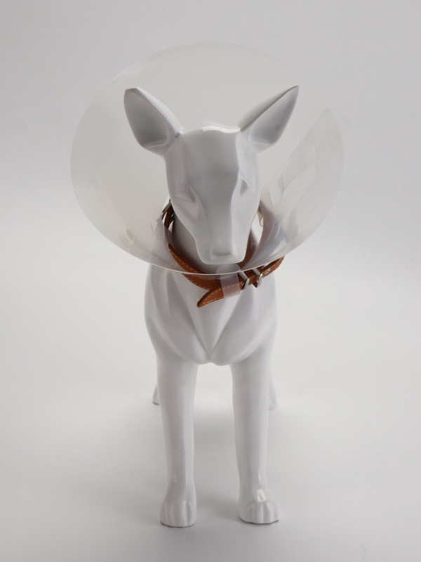 Ветеринарный воротник с креплением на ошейник, высота 7,5 см (без ошейника)