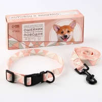 Набор &laquo;Ромбы&raquo;, застёжка - фастекс, поводок 2 м и ошейник 28-46 см