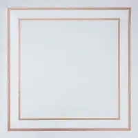 Пленка флористическая для цветов и букетов, белая, 57&times;57&plusmn;1 см см, 50 мкм