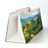 Пакет под бутылку горизонтальный &laquo;Сад&raquo;, 36 &times; 10 &times; 13 см