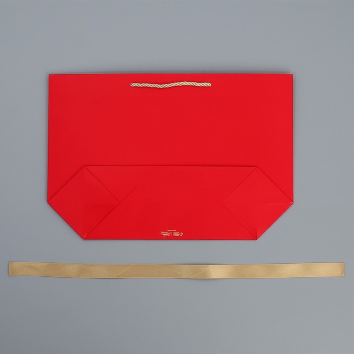 Пакет подарочный новогодний &laquo;Чудеса рядом&raquo;, 26 х 25 х 11 см