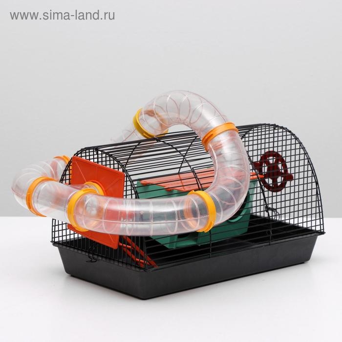 Клетка для грызунов Клетка для грызунов "Саквояж", малая, с лабиринтом, 40 х 25 х 21 см, микс цветов