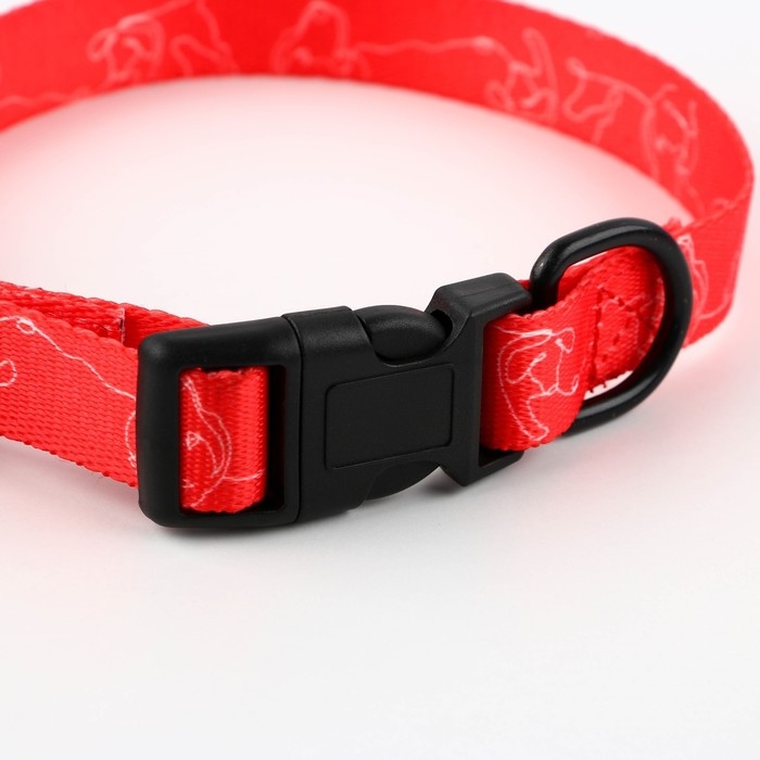 Ошейник One line, застёжка - фастекс, 2 см 25-40 см Ошейник One line, застёжка - фастекс, 2 см 25-40 см