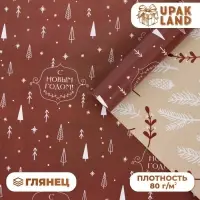 Бумага упаковочная новогодняя глянцевая двусторонняя &laquo;Изысканность&raquo;, 50&times;70 см