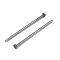 Гвозди ТУНДРА, строительные, ГОСТ 4028-63, без покрытия, 3&times;70 мм, фасовка 0.2 кг