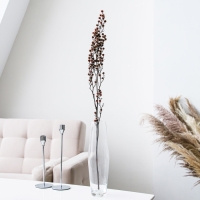 Сухие цветы &laquo;Молочай Миля&raquo;, 25 г, длина &mdash; 70 см, цвет розовый