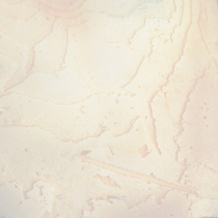 Панцирь каракатицы для птиц 10-12 см, белый