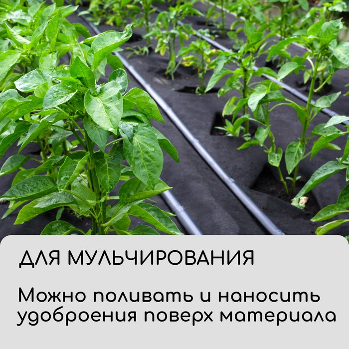 Материал для ландшафтных работ, 5 &times; 3,2 м, плотность 90 г/м&sup2;, спанбонд с УФ-стабилизатором, чёрный, Greengo, Эконом 30%