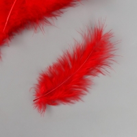 Перо декоративное гусиное пуховое "Алое" набор 40 шт h=10-15 см