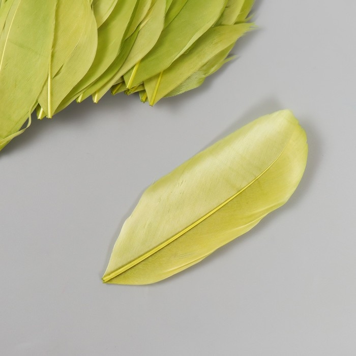 Перо декоративное гусиное Перо декоративное гусиное "Зелёное" в форме листа набор 40 шт h=5-7 см