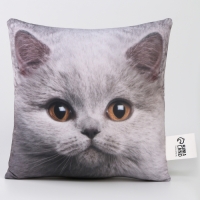 Подушка антистресс, кот "Британец"