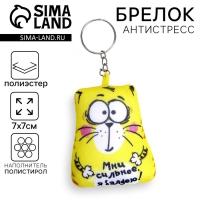 Брелок-антистресс &laquo;Мни сильнее, я балдею!&raquo;, кот, 7х7 см