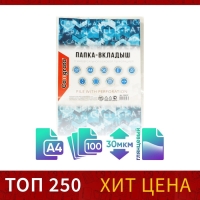 Файл-вкладыш А4, 30 мкм, Calligrata, глянцевый, вертикальный, 100 штук Файл-вкладыш А4, 30 мкм, Calligrata, глянцевый, вертикальный, 100 штук