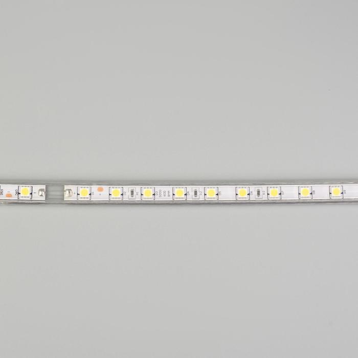 Светодиодная лента Ecola STD 14 × 7 мм, 100 м, IP68, SMD5050, 60 LED/м, 14.4 Вт/м, 220 В, 6000К Светодиодная лента Ecola STD 14 × 7 мм, 100 м, IP68, SMD5050, 60 LED/м, 14.4 Вт/м, 220 В, 6000К