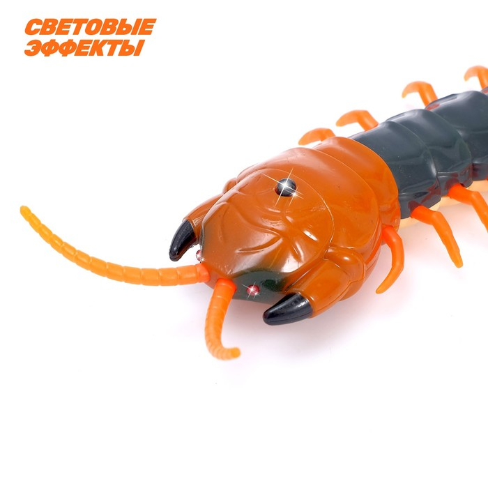 Животное радиоуправляемое &laquo;Сороконожка&raquo;, работает от аккумулятора, свет, МИКС