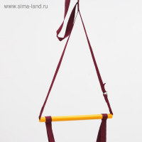 Прыгунки №1 «Звезды, Леденец, Мороженое» (прыгунки, качели, тарзанка), цвет МИКС Прыгунки №1 «Звезды, Леденец, Мороженое» (прыгунки, качели, тарзанка), цвет МИКС