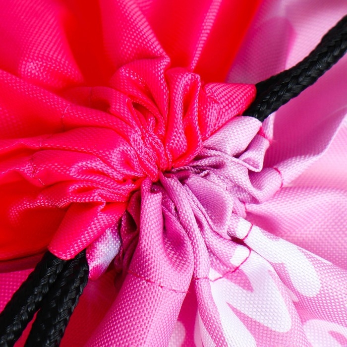 Мешок для обуви &laquo;Самая красивая&raquo; 2 секции, 30 х 40 см