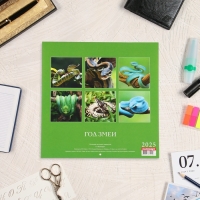 Календарь перекидной на скрепке "Символ года - 1" 2025 год, 6 листов, 29х29 см Календарь перекидной на скрепке "Символ года - 1" 2025 год, 6 листов, 29х29 см