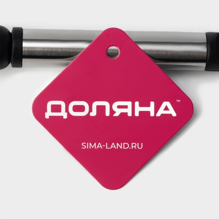 Венчик для взбивания Доляна &laquo;Антрацитовый блеск&raquo;, 31 см, цвет чёрный